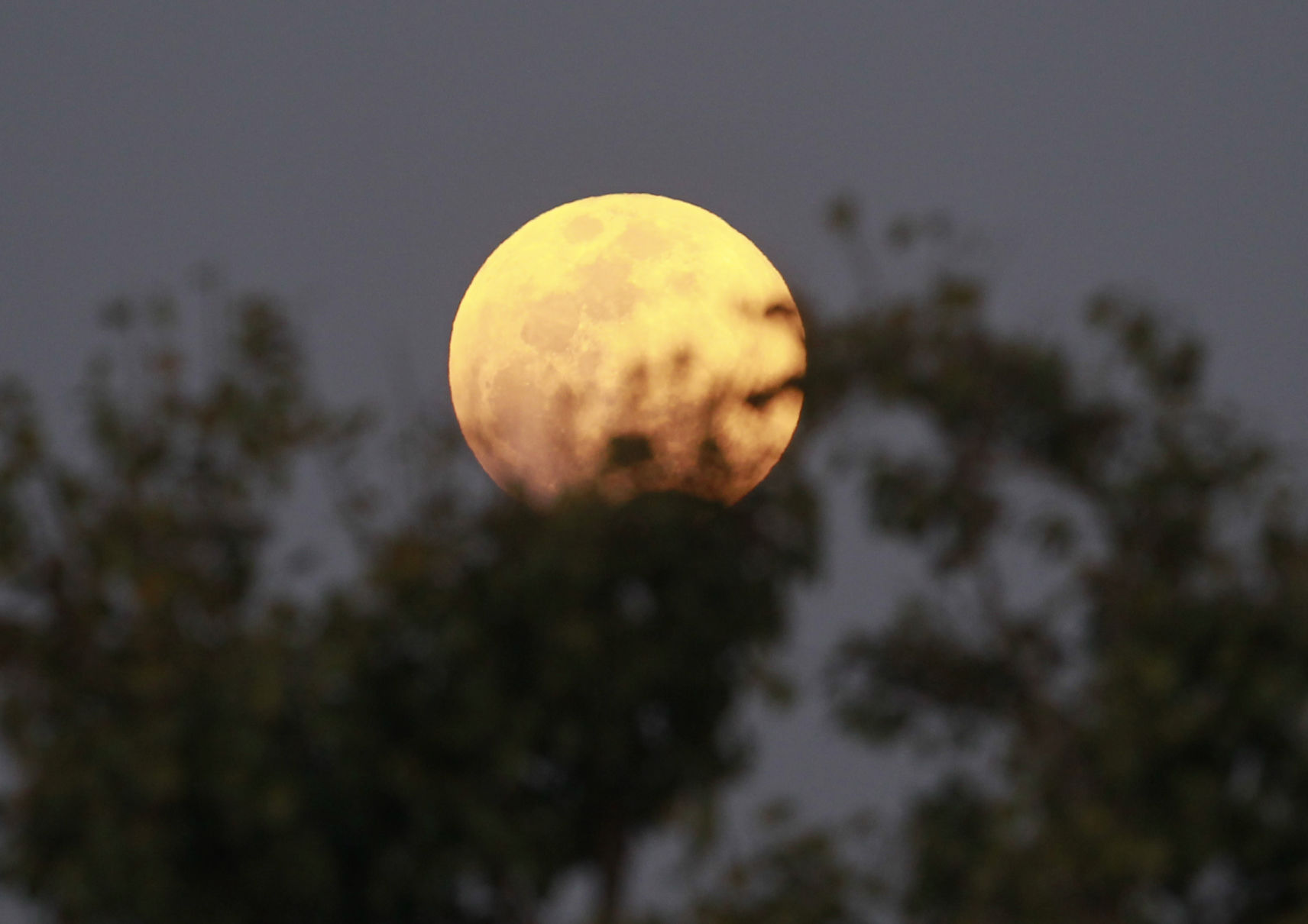 Myanmar Full Moon